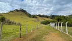 Foto 26 de Fazenda/Sítio com 4 Quartos à venda, 108900m² em Centro, Bueno Brandão