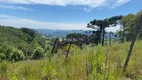 Foto 88 de Lote/Terreno à venda, 120000m² em Vale dos Vinhedos, Bento Gonçalves