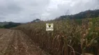 Foto 2 de Fazenda/Sítio com 3 Quartos à venda, 30000m² em Centro, Ouro Fino