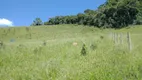 Foto 5 de Fazenda/Sítio à venda, 30000m² em Zona Rural, Marechal Floriano