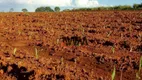 Foto 3 de Fazenda/Sítio à venda, 1380000m² em Zona Rural, Itapuranga