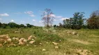 Foto 10 de Lote/Terreno à venda, 27000m² em Novo Mundo, Gravataí