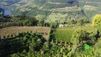 Foto 8 de Fazenda/Sítio à venda, 120000m² em Zona Rural, Monte Belo do Sul