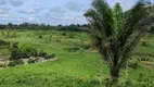 Foto 11 de Fazenda/Sítio à venda em , São Félix do Xingu