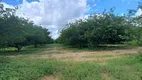 Foto 13 de Fazenda/Sítio com 3 Quartos à venda, 45000m² em Centro, Jandaíra