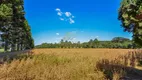 Foto 11 de Fazenda/Sítio com 3 Quartos à venda, 10m² em Zona Rural, Lapa