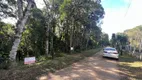 Foto 8 de Fazenda/Sítio à venda, 20000m² em Borda do Campo, São José dos Pinhais