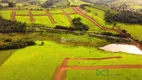 Foto 19 de Lote/Terreno à venda, 1000m² em , Tuiuti