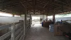 Foto 43 de Fazenda/Sítio com 3 Quartos à venda, 10700m² em Chacaras Novo Mexico, Limeira