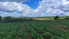 Foto 6 de Fazenda/Sítio com 3 Quartos à venda, 11m² em Cobe de Cima, Vera Cruz