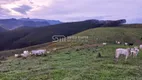 Foto 14 de Fazenda/Sítio à venda, 218m² em Area Rural de Lorena, Lorena