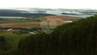 Foto 3 de Fazenda/Sítio à venda, 3500000m² em Centro, Carmo do Rio Claro