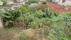 Foto 6 de Lote/Terreno à venda, 240m² em Bela Vista, Leopoldina