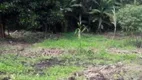 Foto 10 de Lote/Terreno para alugar, 2000m² em Jardim Presidente Dutra, Guarulhos