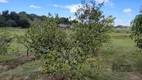 Foto 39 de Fazenda/Sítio com 4 Quartos à venda, 301m² em Caju, Nova Santa Rita