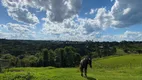 Foto 34 de Fazenda/Sítio com 10 Quartos para alugar, 3000m² em Campo Alto, Tijucas do Sul