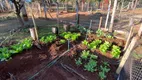 Foto 25 de Fazenda/Sítio com 3 Quartos à venda, 70000m² em Granada, Uberlândia