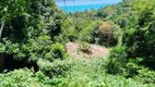 Foto 3 de Lote/Terreno à venda, 983m² em Siriuba, Ilhabela