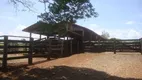 Foto 19 de Fazenda/Sítio com 2 Quartos à venda, 65m² em Zona Rural, Quadra