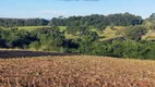 Foto 4 de Fazenda/Sítio à venda, 48000m² em Zona Rural, São Miguel do Passa Quatro