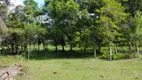 Foto 18 de Fazenda/Sítio à venda, 30000m² em Ambrosios, Tijucas do Sul