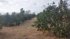 Foto 16 de Fazenda/Sítio com 3 Quartos à venda, 245000m² em São Vicente, Araruama