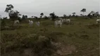 Foto 16 de Fazenda/Sítio à venda em Zona Rural, Pontes E Lacerda