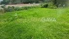 Foto 4 de Lote/Terreno à venda, 58900m² em Ribeira, Viana