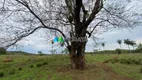 Foto 25 de Fazenda/Sítio com 4 Quartos à venda, 250m² em Zona Rural, Jequitibá