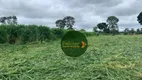 Foto 9 de Fazenda/Sítio à venda, 4840000m² em Zona Rural, São Miguel do Araguaia