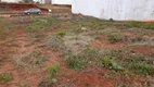 Foto 4 de Lote/Terreno à venda, 286m² em Centro, São Manuel