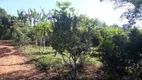 Foto 9 de Fazenda/Sítio com 3 Quartos à venda, 266200m² em Passa Tres, Tuiuti