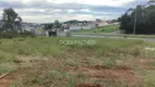 Foto 6 de Lote/Terreno para alugar, 503m² em Jardim Maristela, Criciúma