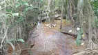 Foto 6 de Fazenda/Sítio com 3 Quartos à venda, 600000m² em Centro, São José do Vale do Rio Preto