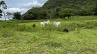 Foto 84 de Fazenda/Sítio com 2 Quartos à venda, 271000m² em Zona Rural, Santa Cruz de Goiás