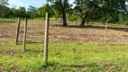 Foto 11 de Fazenda/Sítio com 2 Quartos à venda, 36m² em Zona Rural, Alexânia