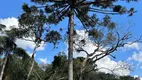 Foto 9 de Fazenda/Sítio à venda, 20000m² em Bateias de Baixo, Campo Alegre