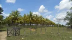 Foto 7 de Fazenda/Sítio com 3 Quartos à venda, 2870000m² em Porto de Sauipe, Entre Rios