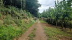 Foto 9 de Fazenda/Sítio com 1 Quarto à venda, 60000m² em Vale dos Vinhedos, Bento Gonçalves