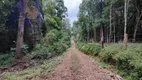 Foto 4 de Lote/Terreno à venda, 38000m² em Bateias de Baixo, Campo Alegre