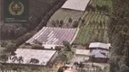 Foto 3 de Fazenda/Sítio com 4 Quartos à venda, 400m² em Cidade Nova, Ivoti
