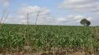 Foto 3 de Lote/Terreno à venda, 10000m² em Chapada, Ponta Grossa