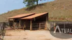 Foto 26 de Fazenda/Sítio com 3 Quartos à venda, 250m² em Recanto Pouso Alegre, Piracaia