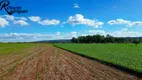 Foto 2 de Fazenda/Sítio à venda, 1150000m² em Area Rural de Planaltina, Brasília