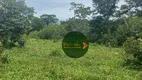 Foto 4 de Fazenda/Sítio à venda, 4840000m² em Zona Rural, Padre Bernardo