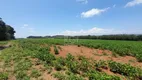 Foto 48 de Lote/Terreno à venda, 1m² em Zona Rural, Guaíba