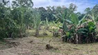 Foto 35 de Fazenda/Sítio com 3 Quartos à venda, 3000m² em América de Cima, Morretes