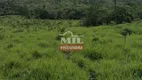 Foto 18 de Fazenda/Sítio à venda, 522m² em Zona Rural, Niquelândia