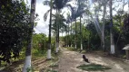 Foto 24 de Fazenda/Sítio com 2 Quartos à venda, 200m² em Rio Preto, Itanhaém