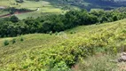 Foto 10 de Fazenda/Sítio com 1 Quarto à venda, 32000m² em Faria Lemos, Bento Gonçalves